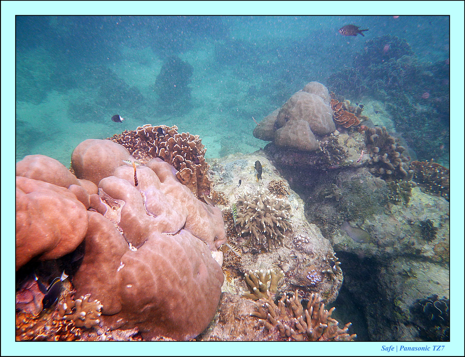 2012 - 07 - Gili - 52